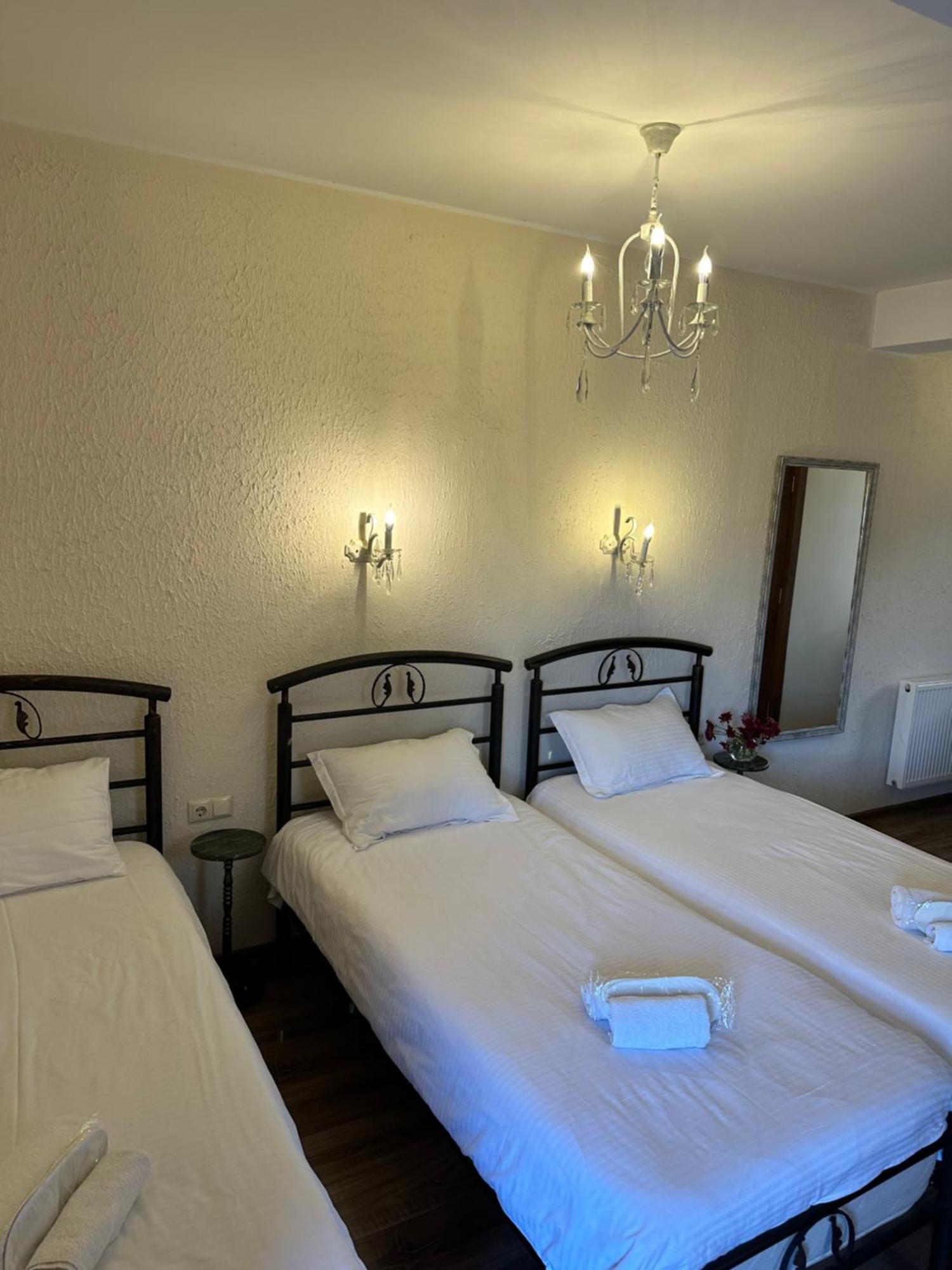 Hotel Wine Hills Tbilisi Exteriér fotografie