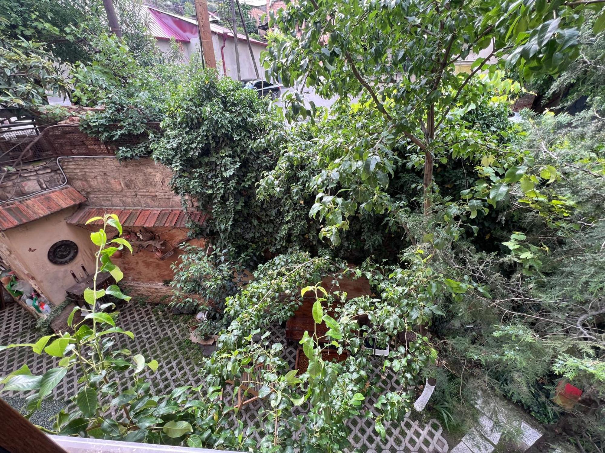 Hotel Wine Hills Tbilisi Pokoj fotografie